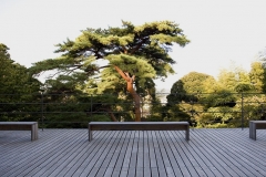 beniya_mukayu_horin2