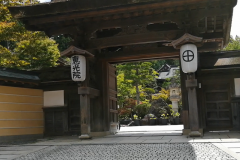 Eko-in-Entrance