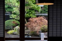 Iizukatei-garden-details4