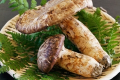 Minshuku-Shimada-Cuisine