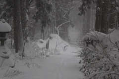 Saikan-Dewa-Sanzan-Haguroyama-Path